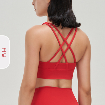 Çifte taraflı fırçalı çapraz sırt sporları iç çamaşırı şok geçirmez yumruklama yoga sporları braya fitness yelek