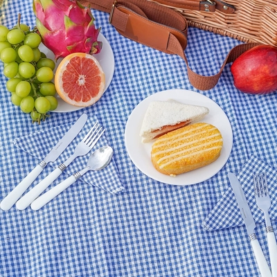 Yumruklu ve saplı bir piknik sepeti, Paskalya, Anneler Günü, Açık Hava Kampı için yıkanabilir astarlı sağlam dokuma vücudu.